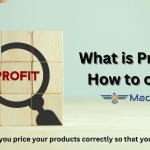 Precision Pricing for Prosperity: A Comprehensive Guide to Thriving with Healthy E-commerce Margins